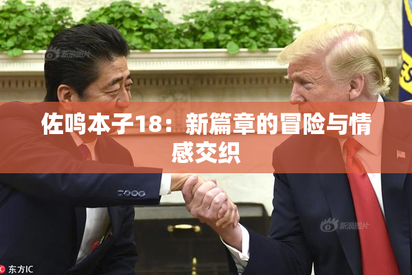 佐鸣本子18：新篇章的冒险与情感交织