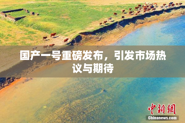 国产一号重磅发布，引发市场热议与期待