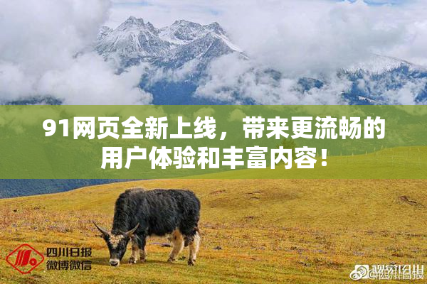 91网页全新上线，带来更流畅的用户体验和丰富内容！