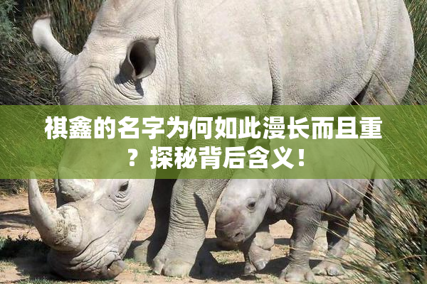 祺鑫的名字为何如此漫长而且重？探秘背后含义！