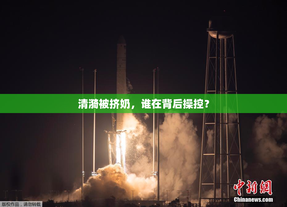 清漪被挤奶，谁在背后操控？