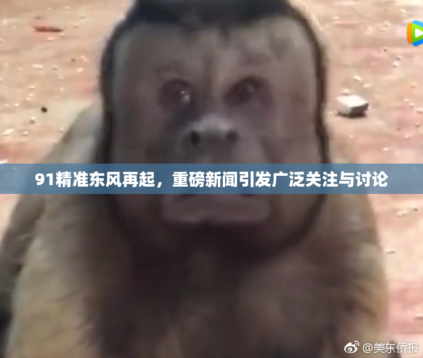 91精准东风再起，重磅新闻引发广泛关注与讨论
