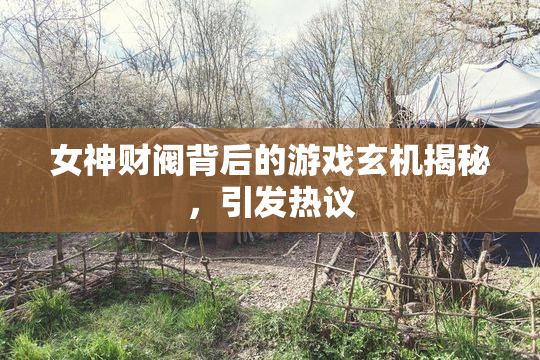 女神财阀背后的游戏玄机揭秘，引发热议