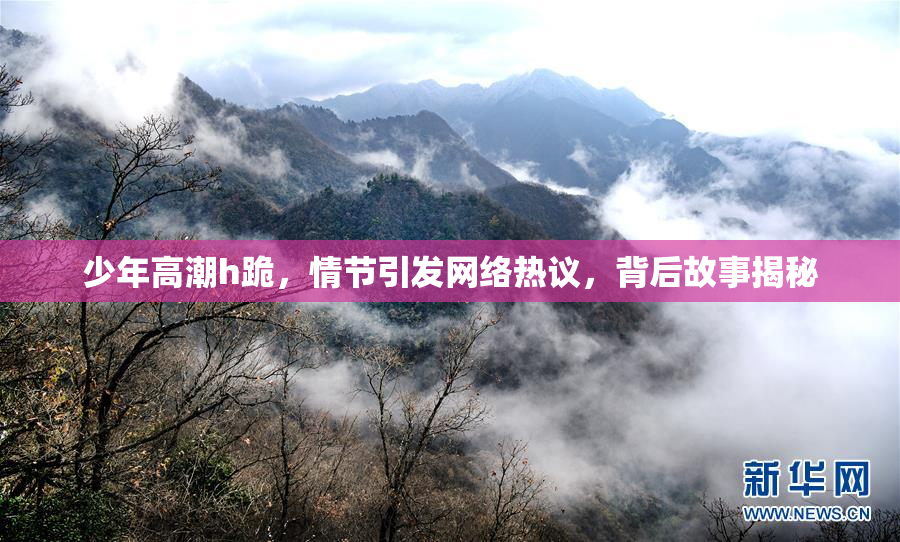 少年高潮h跪，情节引发网络热议，背后故事揭秘