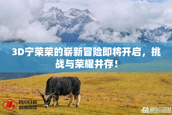 3D宁荣荣的崭新冒险即将开启，挑战与荣耀并存！