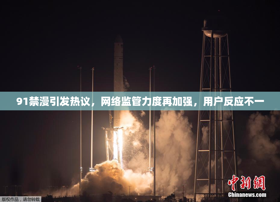 91禁漫引发热议，网络监管力度再加强，用户反应不一