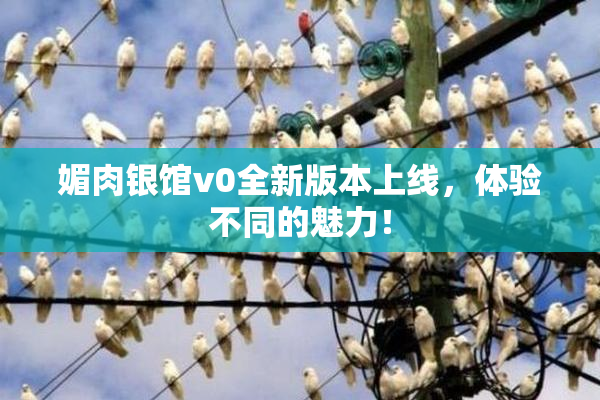 媚肉银馆v0全新版本上线，体验不同的魅力！