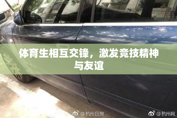 体育生相互交锋，激发竞技精神与友谊