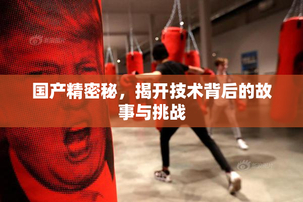 国产精密秘，揭开技术背后的故事与挑战