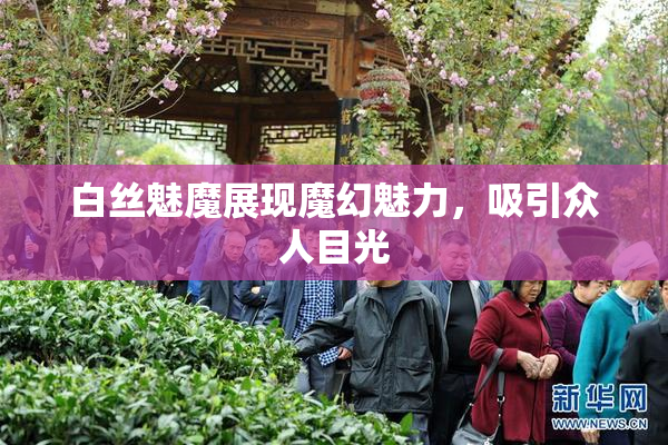 白丝魅魔展现魔幻魅力，吸引众人目光