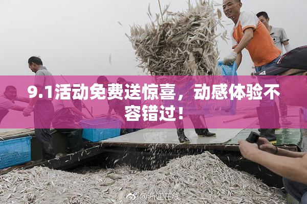9.1活动免费送惊喜，动感体验不容错过！