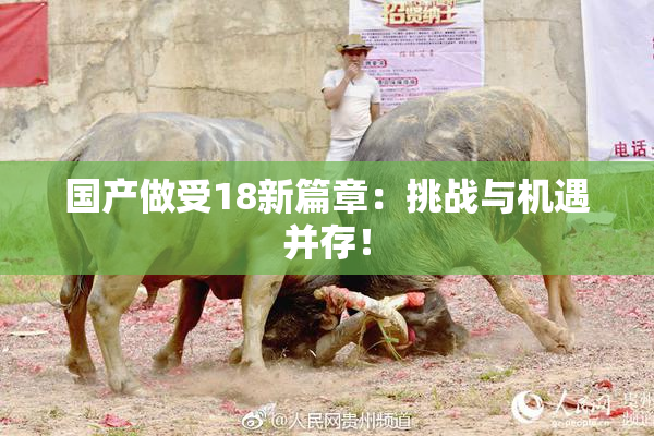 国产做受18新篇章：挑战与机遇并存！