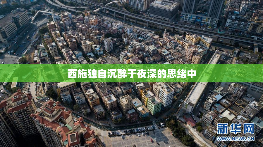 西施独自沉醉于夜深的思绪中