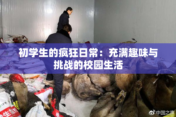 初学生的疯狂日常：充满趣味与挑战的校园生活
