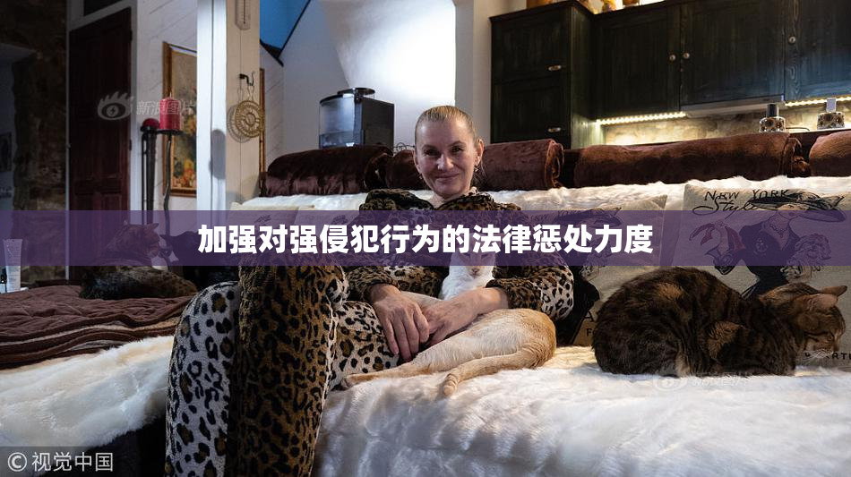 加强对强侵犯行为的法律惩处力度