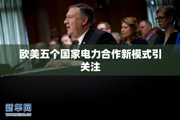 欧美五个国家电力合作新模式引关注