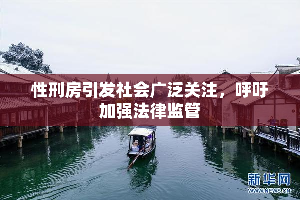 性刑房引发社会广泛关注，呼吁加强法律监管