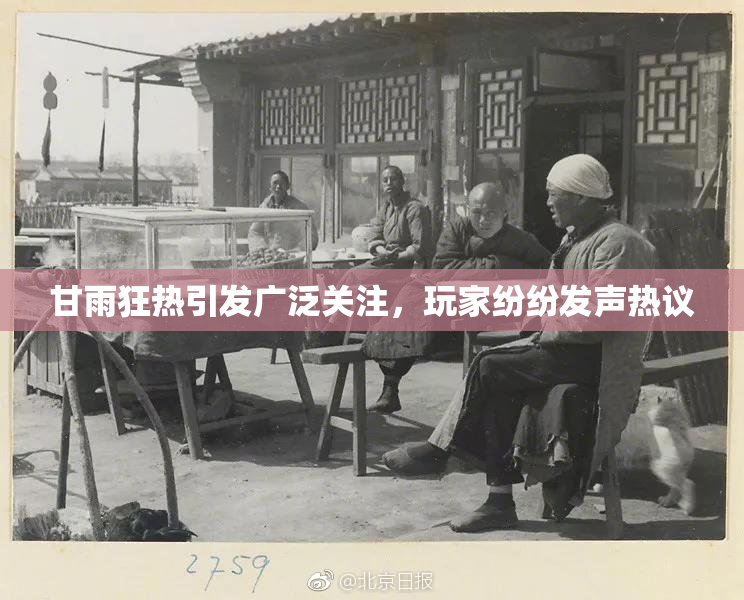 甘雨狂热引发广泛关注，玩家纷纷发声热议