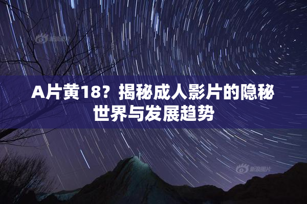 A片黄18？揭秘成人影片的隐秘世界与发展趋势
