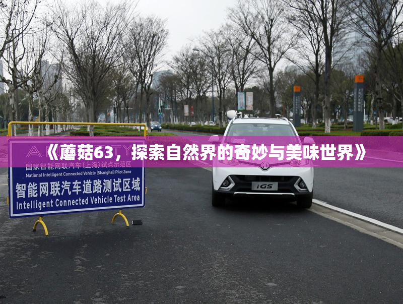《蘑菇63，探索自然界的奇妙与美味世界》