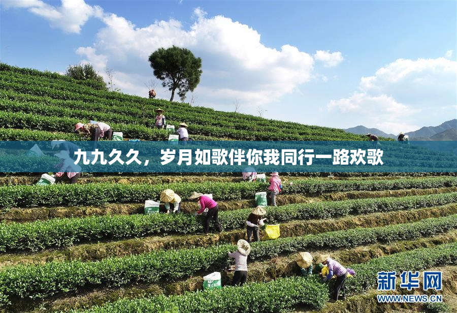 九九久久，岁月如歌伴你我同行一路欢歌