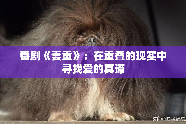 番剧《妻重》：在重叠的现实中寻找爱的真谛
