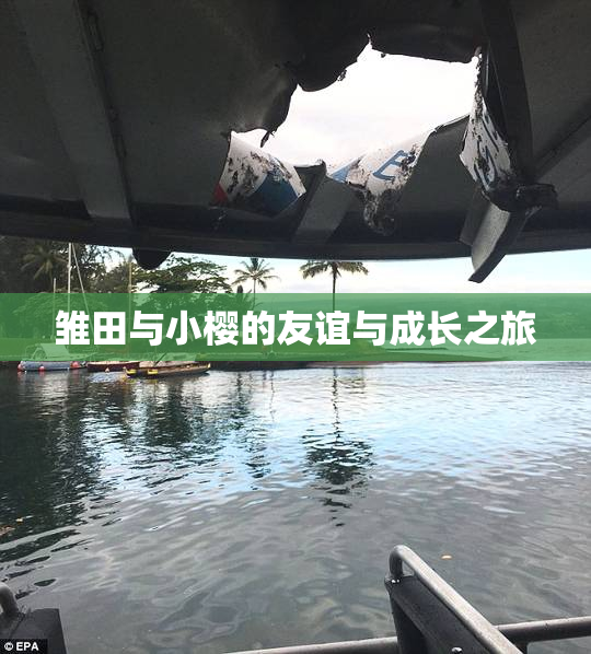 雏田与小樱的友谊与成长之旅