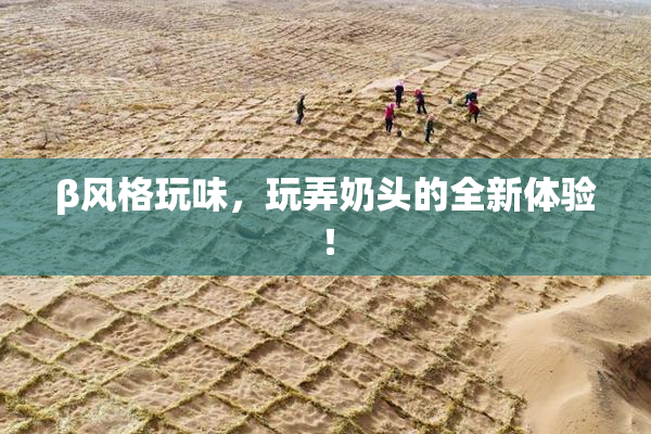 β风格玩味，玩弄奶头的全新体验！