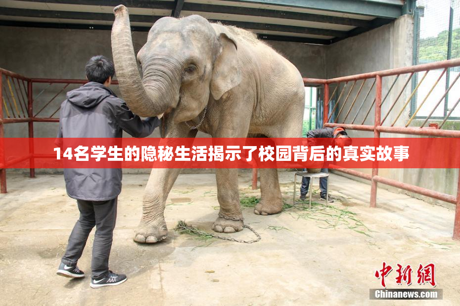 14名学生的隐秘生活揭示了校园背后的真实故事