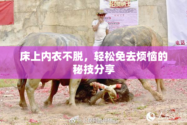 床上内衣不脱，轻松免去烦恼的秘技分享