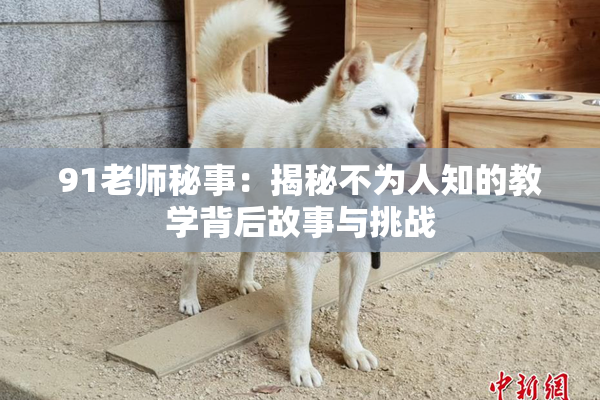 91老师秘事：揭秘不为人知的教学背后故事与挑战