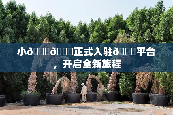 小🐔🐔正式入驻🍑平台，开启全新旅程