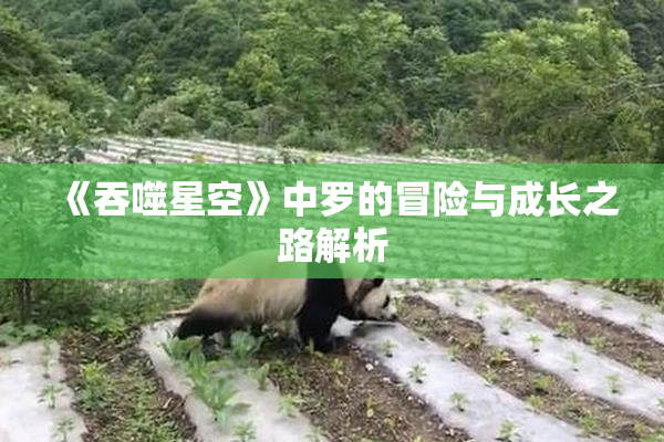 《吞噬星空》中罗的冒险与成长之路解析