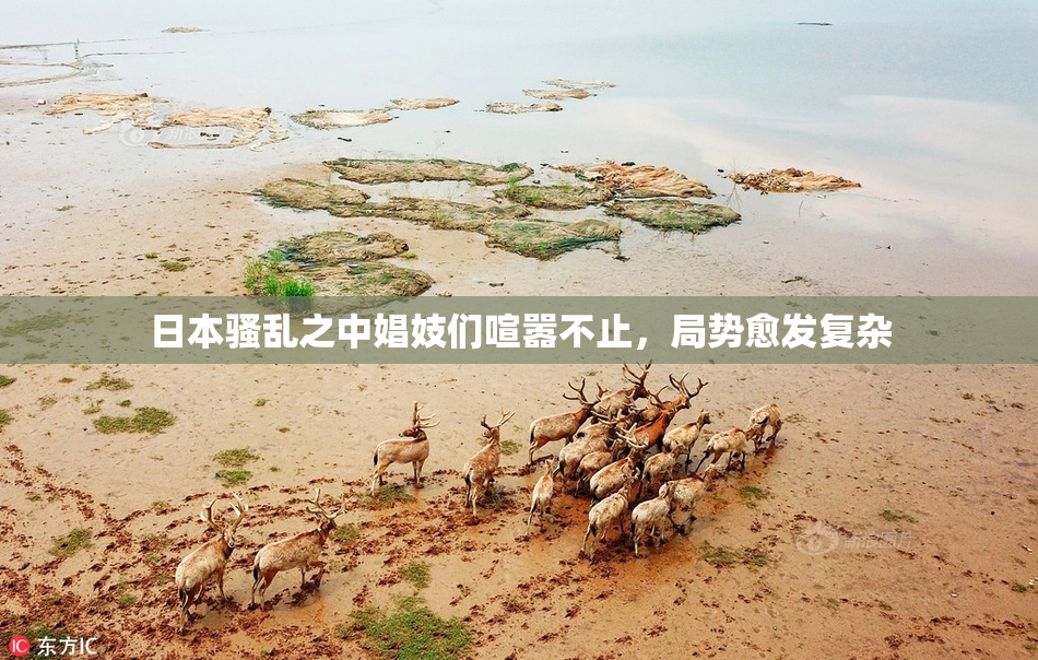 日本骚乱之中娼妓们喧嚣不止，局势愈发复杂
