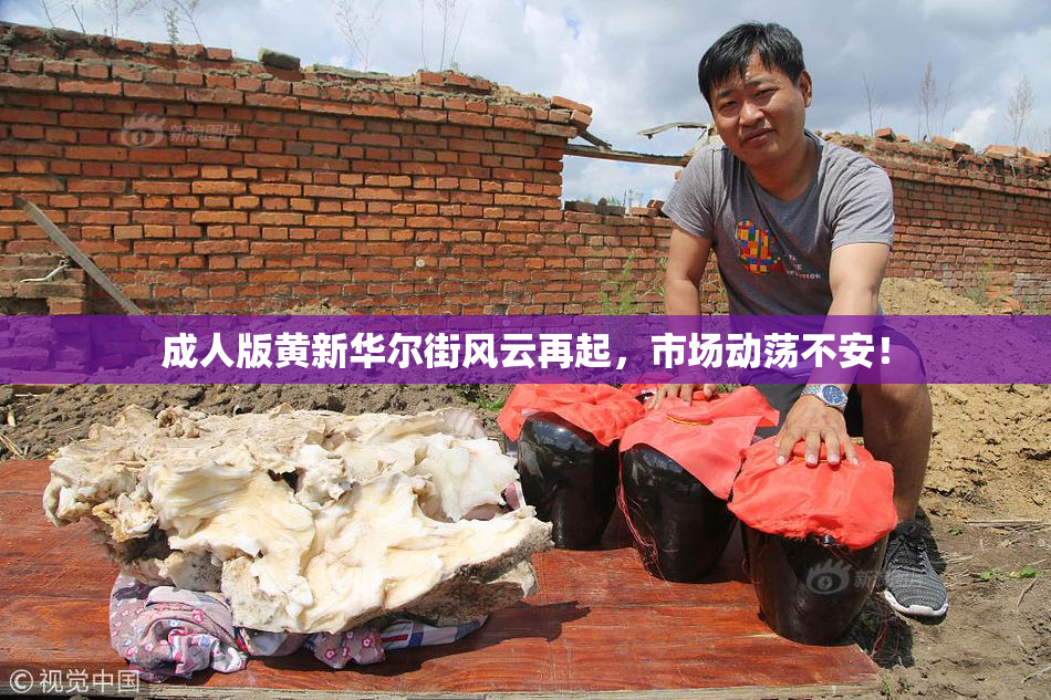 成人版黄新华尔街风云再起，市场动荡不安！