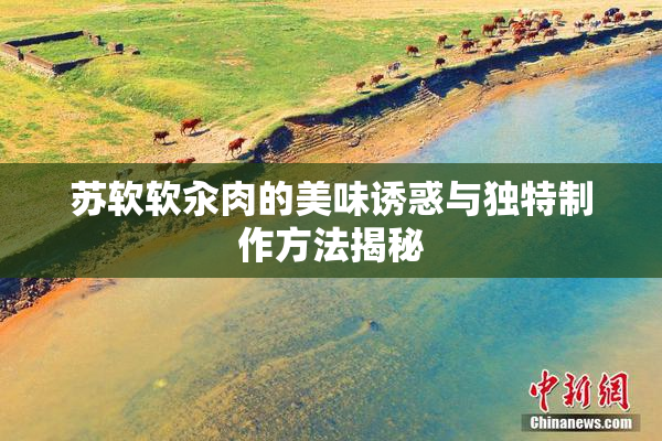 苏软软汆肉的美味诱惑与独特制作方法揭秘