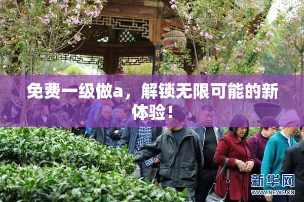 免费一级做a，解锁无限可能的新体验！