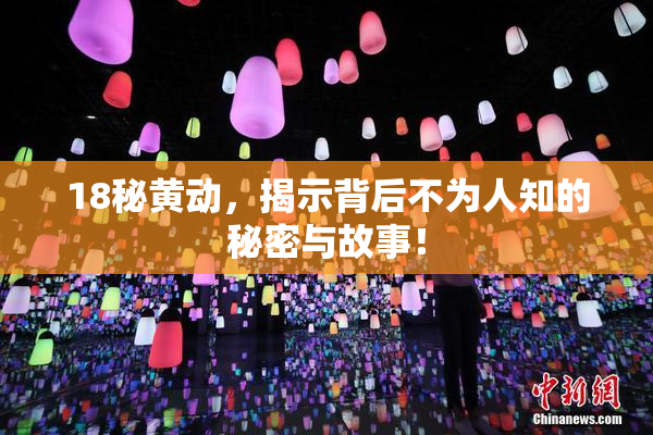 18秘黄动，揭示背后不为人知的秘密与故事！