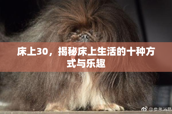 床上30，揭秘床上生活的十种方式与乐趣