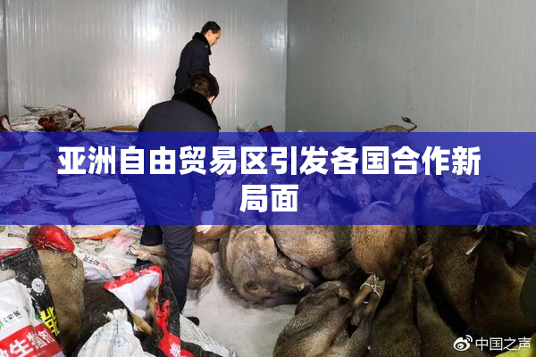 亚洲自由贸易区引发各国合作新局面