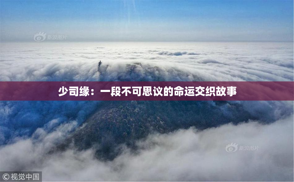 少司缘：一段不可思议的命运交织故事