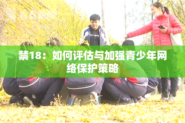 禁18：如何评估与加强青少年网络保护策略