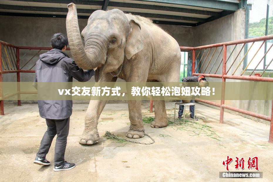 vx交友新方式，教你轻松泡妞攻略！