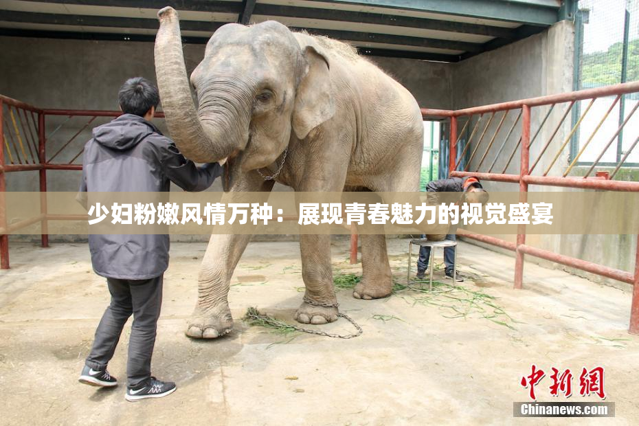 少妇粉嫩风情万种：展现青春魅力的视觉盛宴