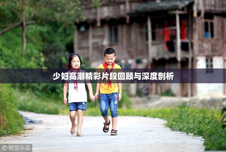 少妇高潮精彩片段回顾与深度剖析