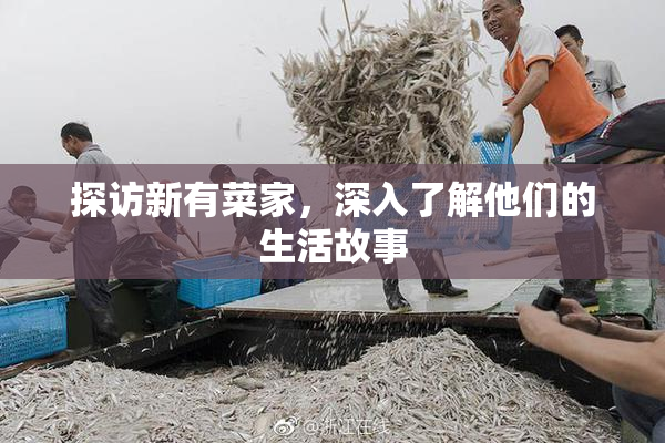 探访新有菜家，深入了解他们的生活故事