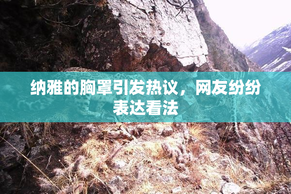 纳雅的胸罩引发热议，网友纷纷表达看法