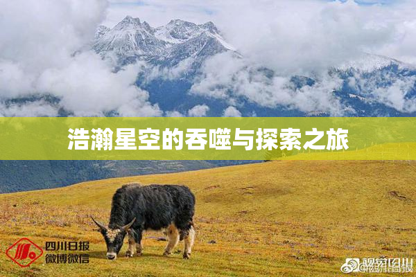 浩瀚星空的吞噬与探索之旅