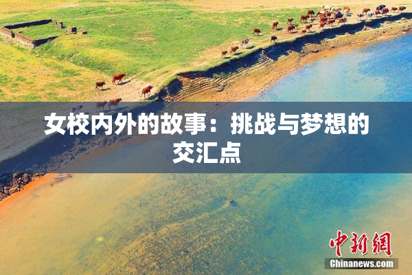 女校内外的故事：挑战与梦想的交汇点