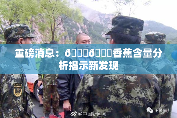 重磅消息：🔞🔞香蕉含量分析揭示新发现